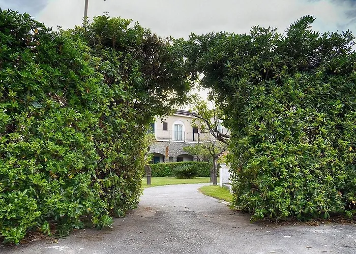 Delle Stelle Hotel Sangineto